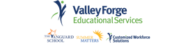 VFES logo